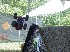 RC Jeeps